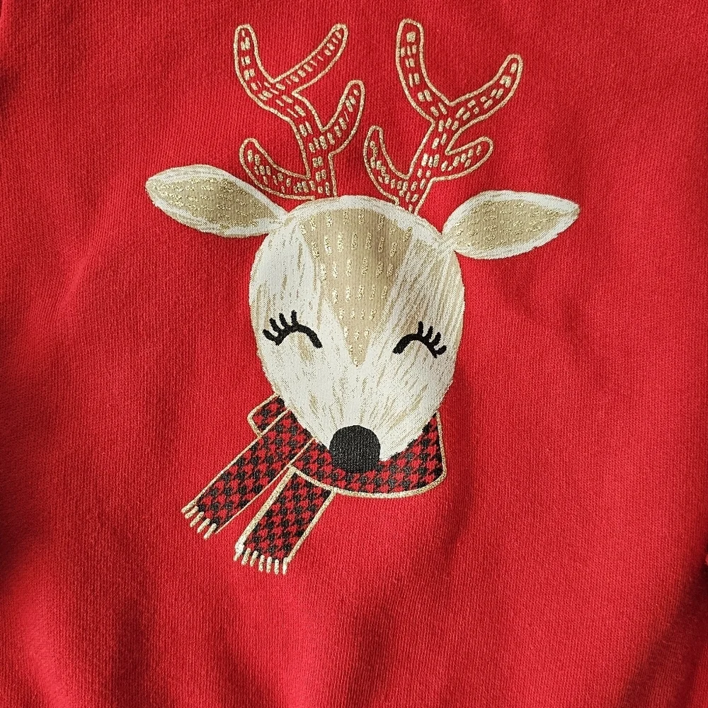 Carters 24months Christmas Winter Sweater